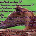 /album/fotogallerij/img1478299164-jpg/