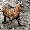 /album/fotogallerij/img1478299176-jpg/