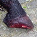 /album/fotogallerij/img1478299186-jpg/